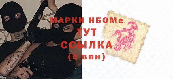PSILOCYBIN Горно-Алтайск