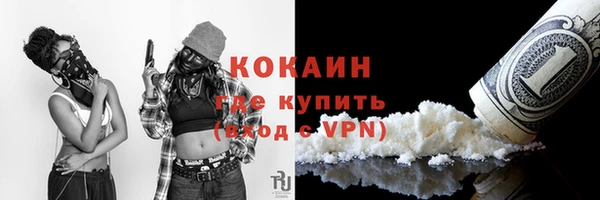 PSILOCYBIN Горно-Алтайск