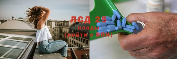 PSILOCYBIN Горно-Алтайск