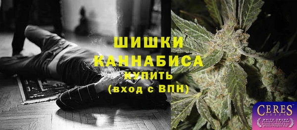 PSILOCYBIN Горно-Алтайск