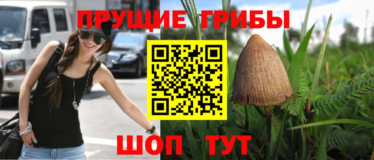 Гудермес  Галлюциногенные грибы мухоморы  Вход с VPN 