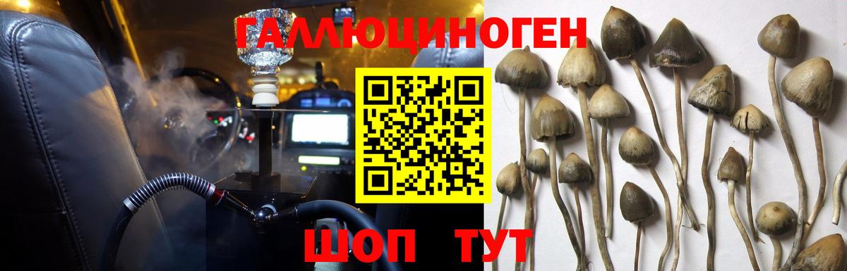 Псилоцибиновые грибы Magic Shrooms Гудермес