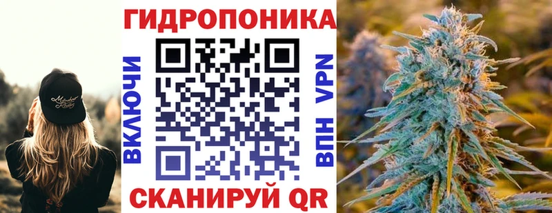 Марихуана тримм  Гудермес 